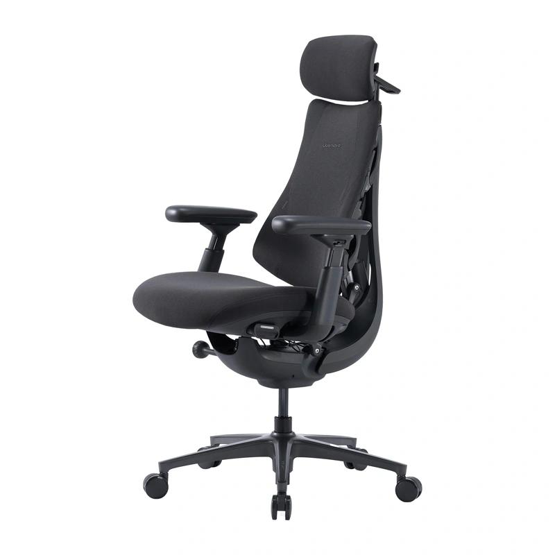 LiberNovo Omni Pro 48 cm Ergonomic Chair (Graphite)