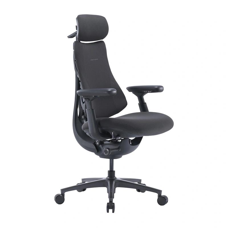 LiberNovo Omni Pro 48 cm Ergonomic Chair (Graphite)
