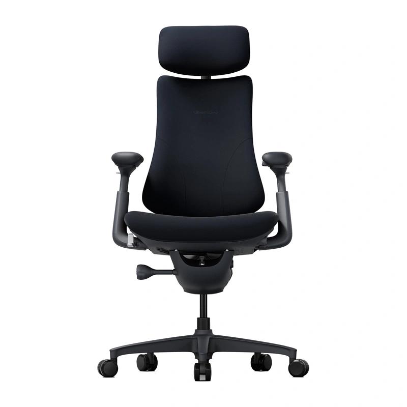 LiberNovo Omni 48 cm Ergonomic Chair (Black)