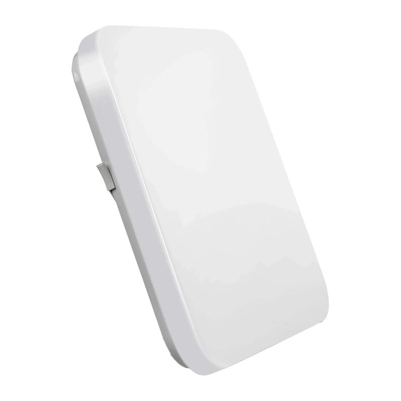 Lepro 150006 Ceiling Light, 24W, 2400 lm